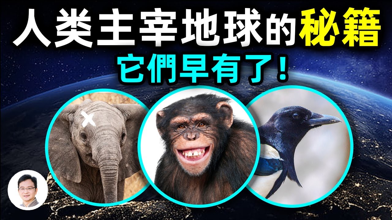 私密：[ID: edhjZkLKCHI] Youtube Automatic