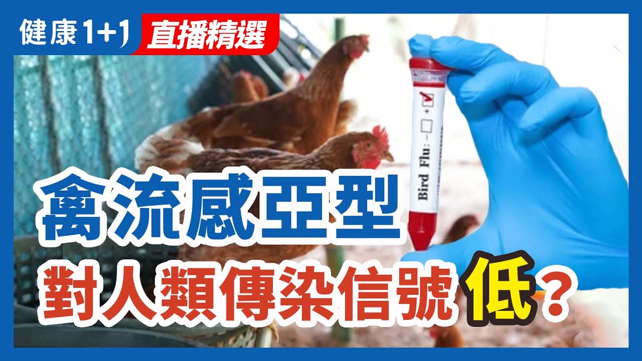 [ID: X4_jJMQ7Pa0] Youtube Automatic