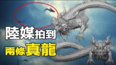 [ID: 6K6-1WPdohQ] Youtube Automatic