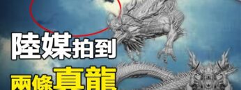 [ID: 6K6-1WPdohQ] Youtube Automatic