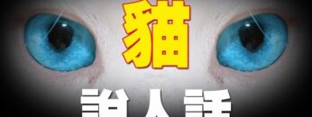 [ID: ioxQieayvSc] Youtube Automatic