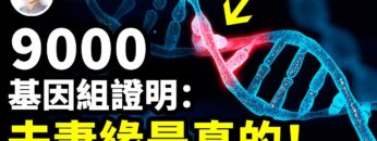 [ID: a8eOz5vs2Vo] Youtube Automatic