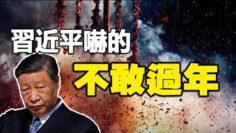 [ID: ZAZ89LoS10U] Youtube Automatic