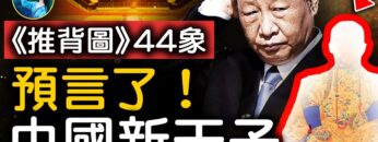 [ID: E-0rb_Zqmd4] Youtube Automatic