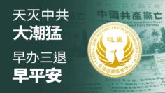 [ID: opMKbounujc] Youtube Automatic