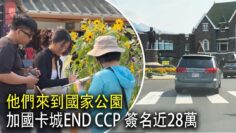 [ID: OpPKgGQZTe0] Youtube Automatic