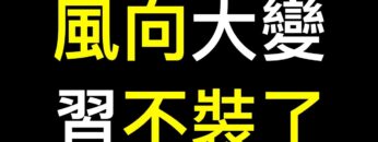 [ID: 4umVbVlXtxw] Youtube Automatic