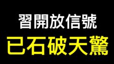 [ID: bljxKm730ZQ] Youtube Automatic