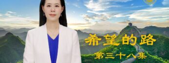 [ID: PAYpGmgn7kI] Youtube Automatic