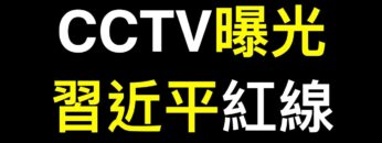 [ID: ZjPl82MIhJQ] Youtube Automatic