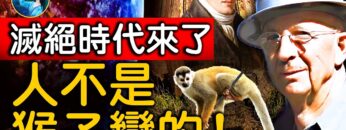 [ID: UoxC-suHwl8] Youtube Automatic