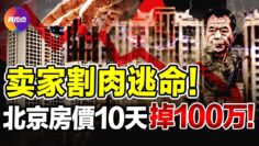 [ID: kIKqvcskTxo] Youtube Automatic