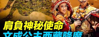 私密：[ID: rAYwjM9Qz2Q] Youtube Automatic