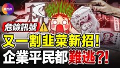 [ID: C9nd37rdJ1c] Youtube Automatic