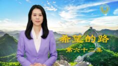 [ID: 15KRbDvpQpQ] Youtube Automatic