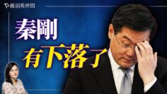 私密：[ID: 04qcJ0wOaUQ] Youtube Automatic