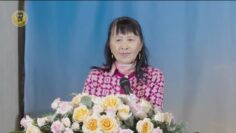 [ID: gh4dyqIBp08] Youtube Automatic