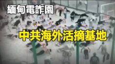 [ID: d7w63NUkaQM] Youtube Automatic