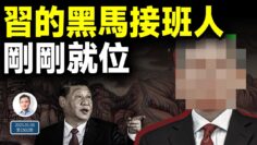 私密：[ID: VhyEVy1mRr8] Youtube Automatic