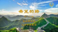 [ID: 3tEXQD8fEhE] Youtube Automatic