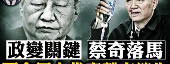 私密：[ID: jDCoA-UmWkw] Youtube Automatic