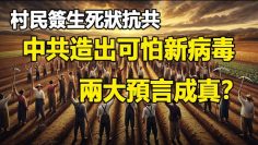 [ID: llOcco1ttoI] Youtube Automatic