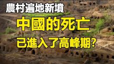 [ID: 2ptSzlONSCo] Youtube Automatic