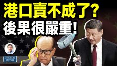 [ID: EGaBW3SYDyA] Youtube Automatic