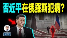 [ID: bNwVzfA9_XI] Youtube Automatic