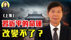 [ID: Clk_wla-xjE] Youtube Automatic