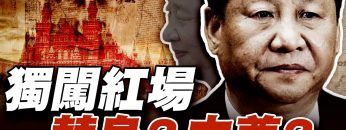 [ID: Tid055qESxc] Youtube Automatic