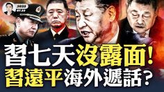 [ID: 0aHXg7h1hQU] Youtube Automatic