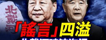 [ID: tmI2cRyn1mQ] Youtube Automatic