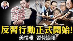 [ID: tYHvePMptDg] Youtube Automatic