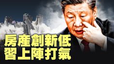 [ID: vs_AeQ8Mr1I] Youtube Automatic