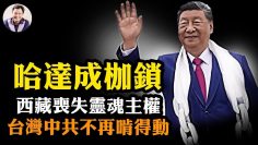 私密：[ID: lcMUHn8yFss] Youtube Automatic