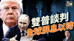 [ID: _LpiI2oXn_U] Youtube Automatic