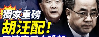 [ID: NAgbacmc3G8] Youtube Automatic