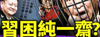 私密：[ID: NCJ1aIqStBE] Youtube Automatic