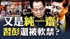 私密：[ID: WTkR1UUzMMw] Youtube Automatic