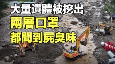 [ID: zNzia-cGm-Q] Youtube Automatic