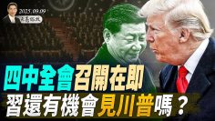 [ID: uJWkKHnSBRY] Youtube Automatic