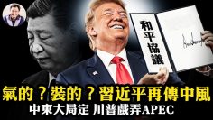 [ID: 0fqePpgMw5Q] Youtube Automatic