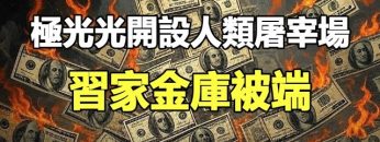 [ID: D-XzpG4N-Ks] Youtube Automatic