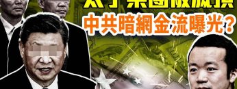 [ID: swUYTnR_KvU] Youtube Automatic