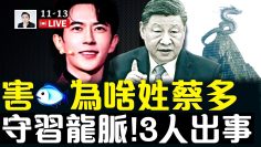 私密：[ID: DPq-SfyNJWY] Youtube Automatic