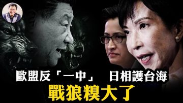 [ID: o0xf-SMKzEk] Youtube Automatic