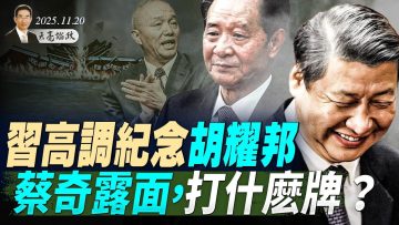 私密：[ID: OB1Fp8PQLbA] Youtube Automatic