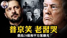 私密：[ID: skPtmwQneG0] Youtube Automatic