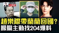 [ID: 5KMeccR0NeY] Youtube Automatic